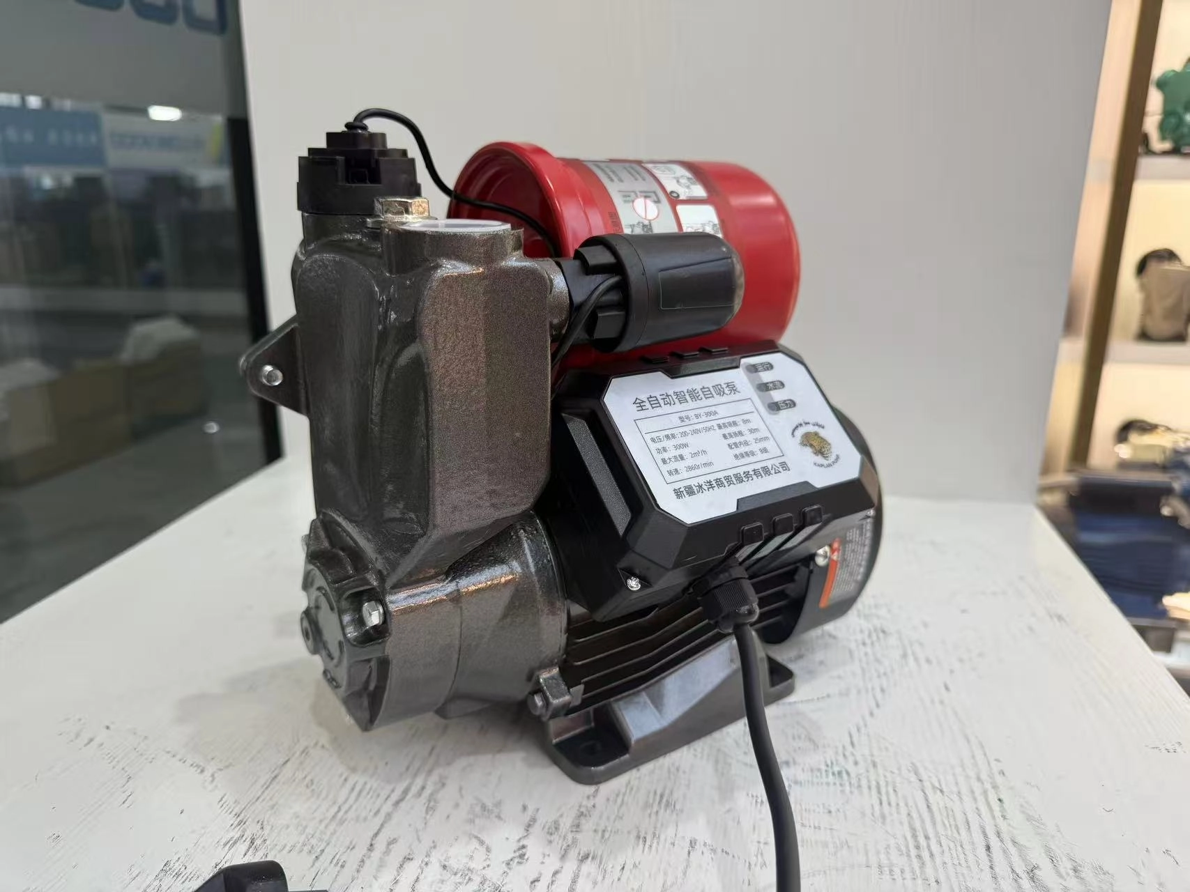 Pompa dell'acqua automatica